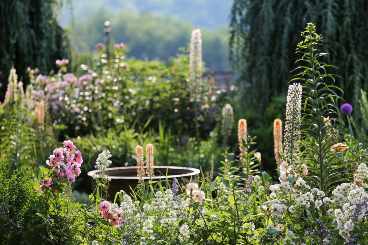 Jardin Fleuriste ©Jérome Morel