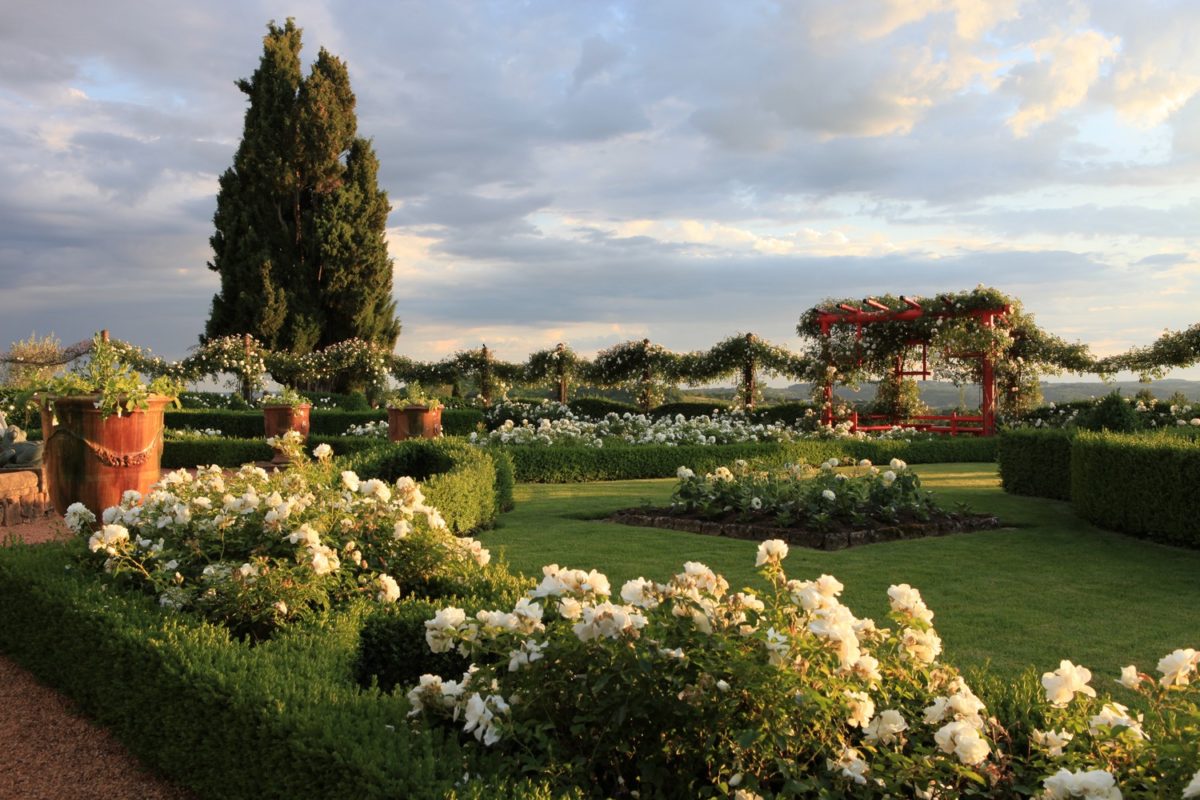 Jardin Blanc ©Georges Lévêque