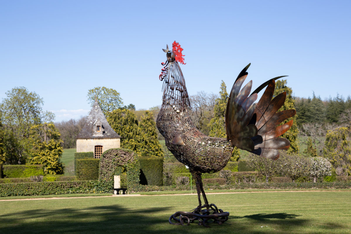 Exposition Pierre Treilhes Coq