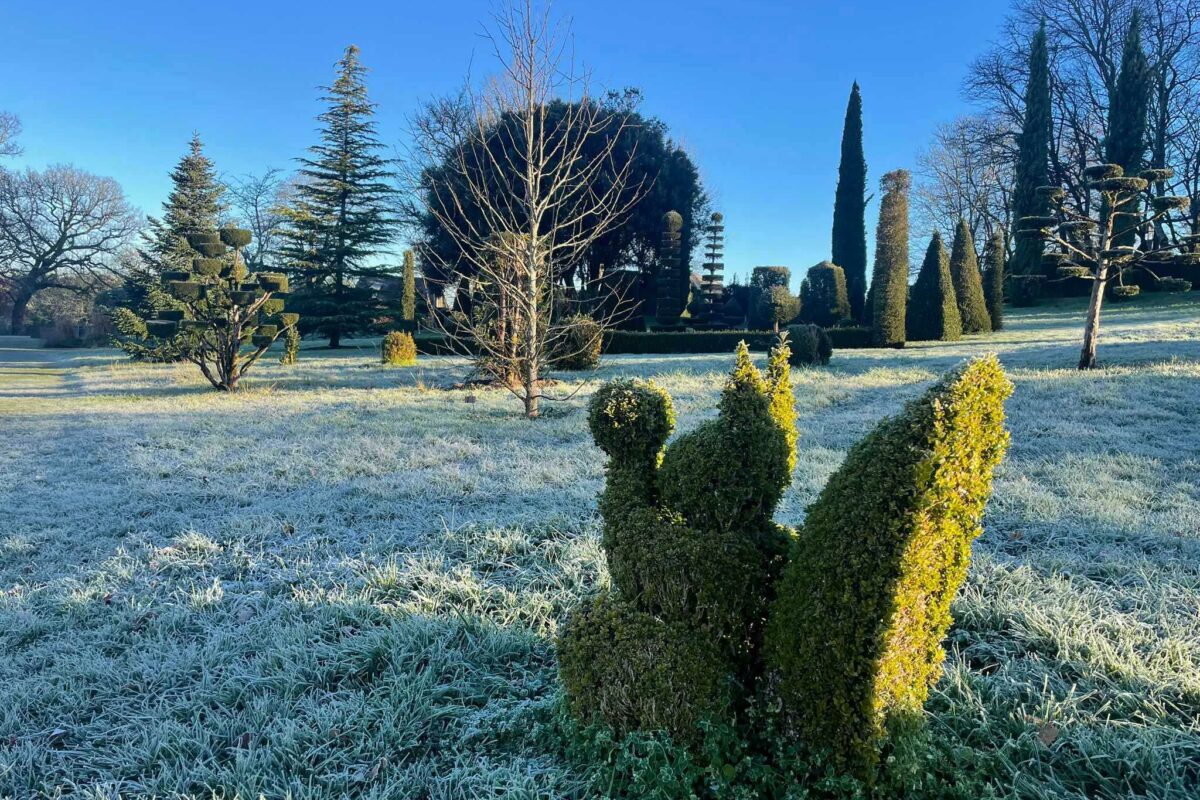 Topiaire écureuil en hiver à Eyrignac